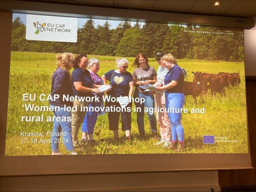 EU CAP Network workshop ‘Women-led innovations in agriculture and rural areas’