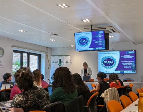 GRASS CEILING - Show case event in Brussels 2023