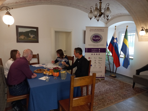 Identifying and Designing Visions of Sustainable Development - Slovenia